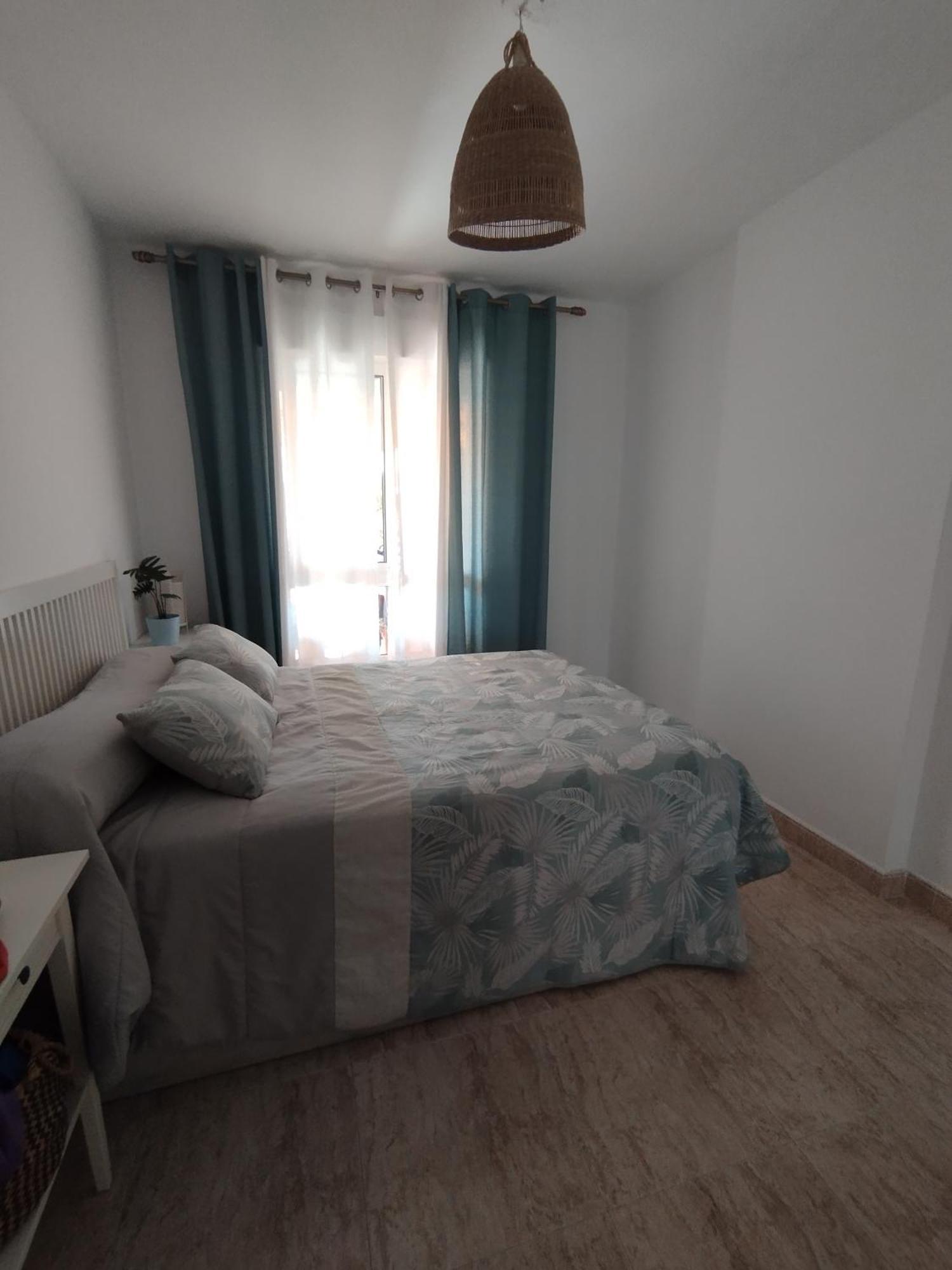 Palm Apartamento *