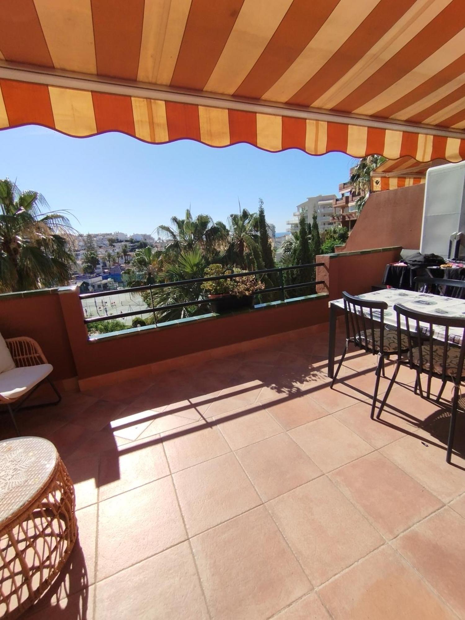 Palm Apartamento
